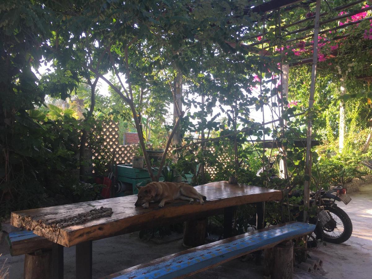 Confetti House Hotell Quy Nhon Exteriör bild